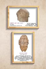 拓片展板3
