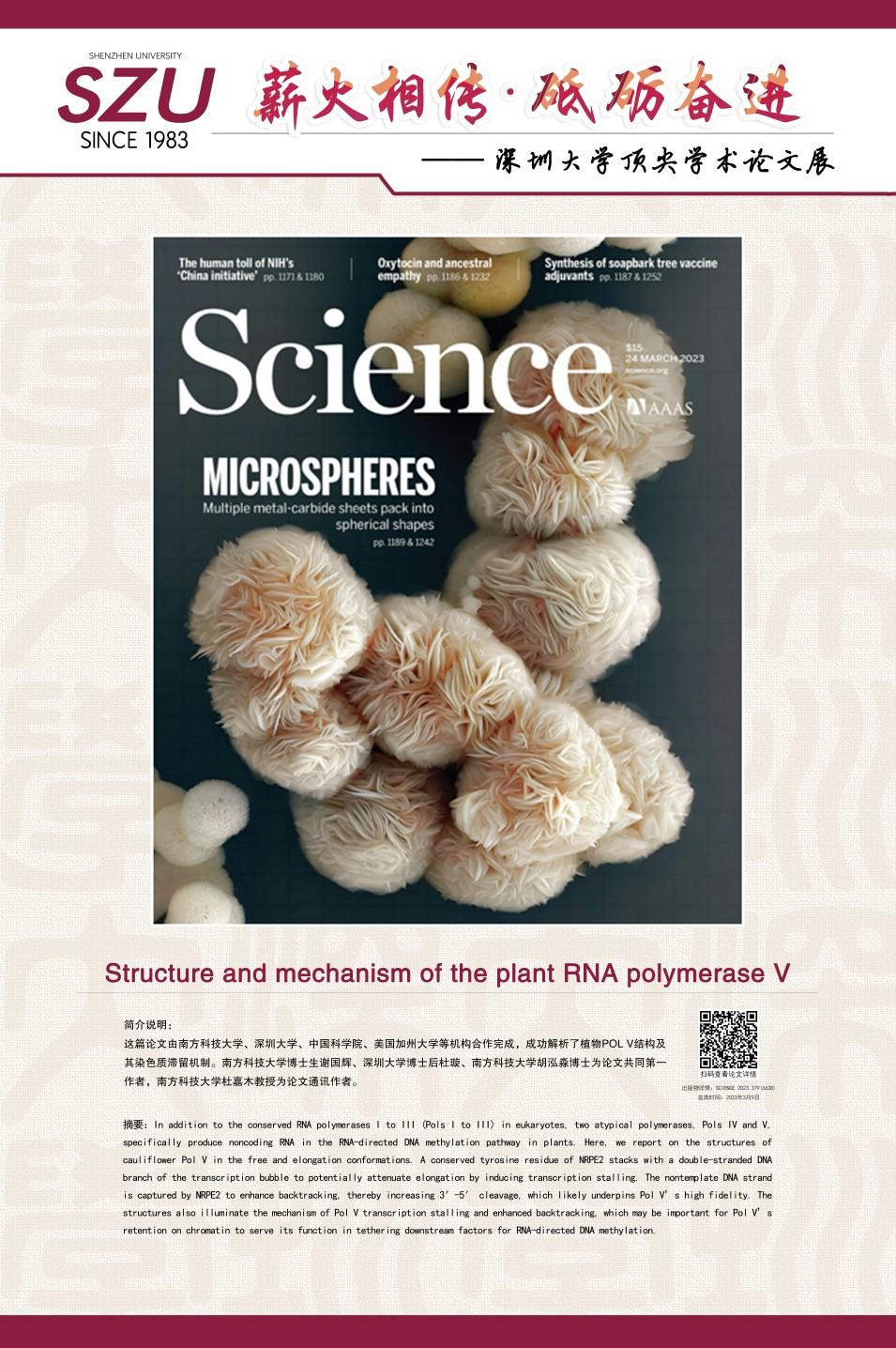 英文-18