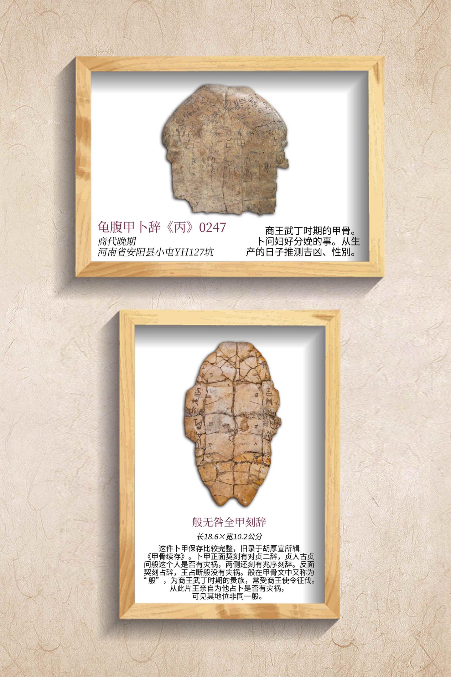 拓片展板3